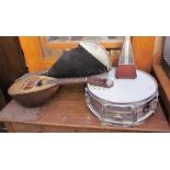 An R Porto & Figli bowl back eight string mandolin, together with a case,