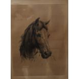 Heywood Hardy Portrait of a horse's head An etching Signed in pencil in the margin 37.