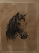 Heywood Hardy Portrait of a horse's head An etching Signed in pencil in the margin 37.