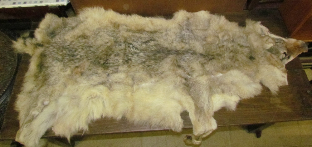 Taxidermy - A wolf skin rug