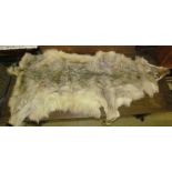 Taxidermy - A wolf skin rug