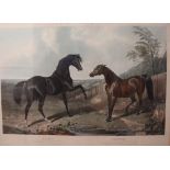 J Harris after J F Herring “Camel and Banter” - The British Stud Series Dated February 10th 1846,