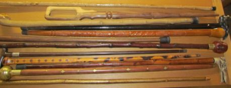 A collection of walking sticks