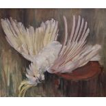 Pamela Thalben-Ball Cockatoo Oil on canvas Signed 50 x 60cm