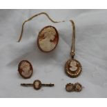 A 9ct yellow gold and shell cameo,