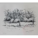 Diana Armfield RA Sheep at Parc A print Artists proof,