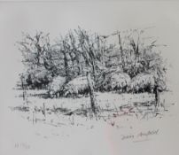 Diana Armfield RA Sheep at Parc A print Artists proof,