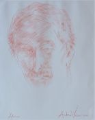 Andrew Vicari Alun Head portrait pastels Signed and dated 2011 45 x 39cm ****Artists Resale