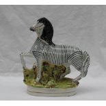 A Staffordshire flat back figure of a zebra on an oval naturalistic base, 22.