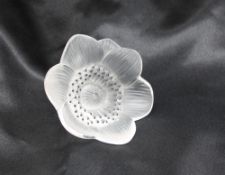 A Lalique anemone flower, 10cm diameter,