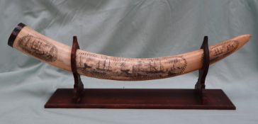 A late 19th / early 20th century Walrus scrimshaw tusk, decorated with three whaling scenes,