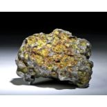 Chilean Imilac Pallasite Meteorite - 604.4 g