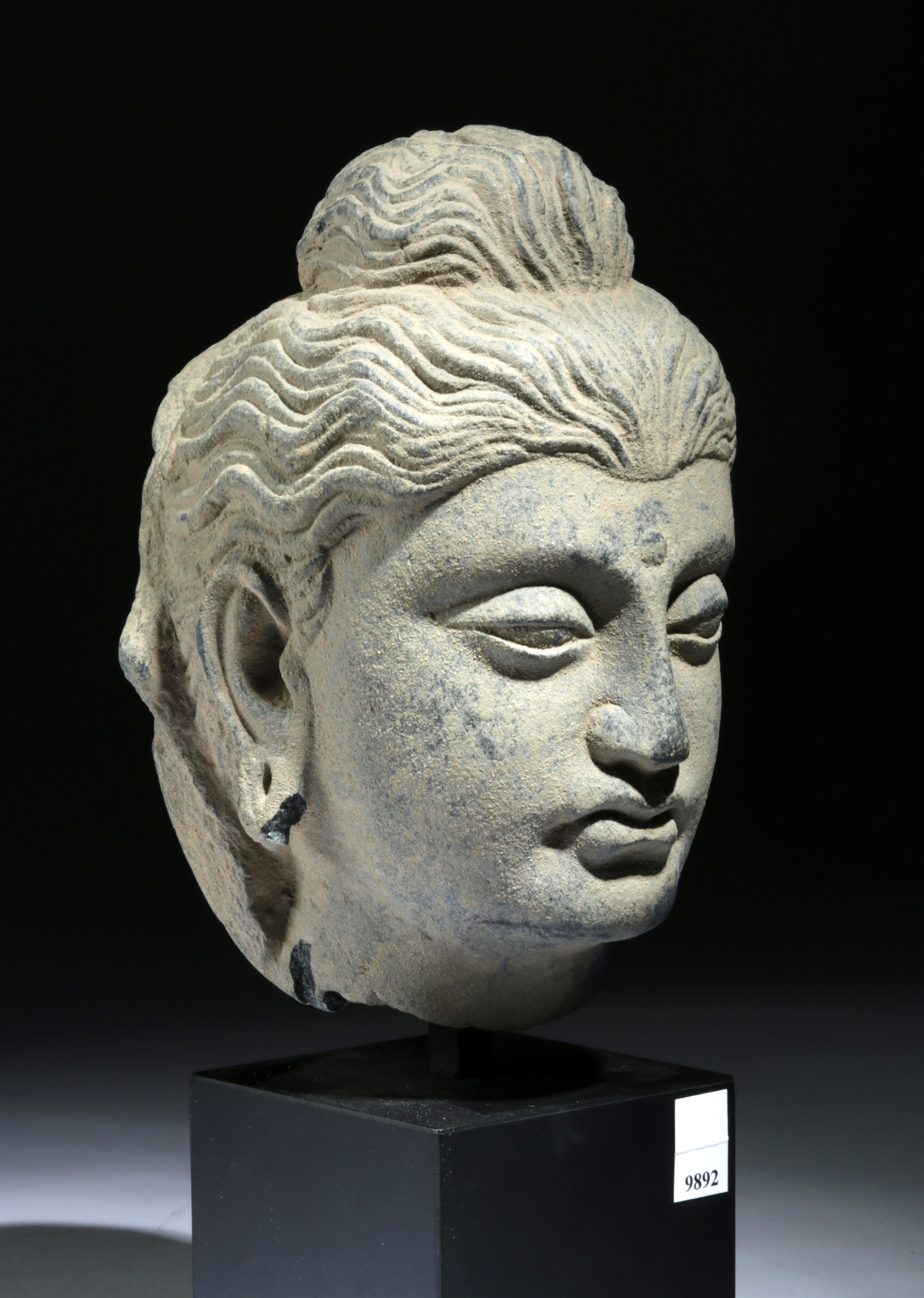 Gandharan Schist Head of Buddha