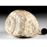 Chavin Carved Shell Poporo with Gold Leaf