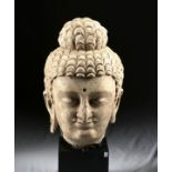 Published / Huge Gandharan Stucco Buddha Head