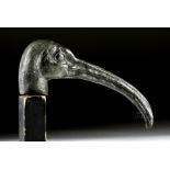 Large Egyptian Bronze Ibis Head