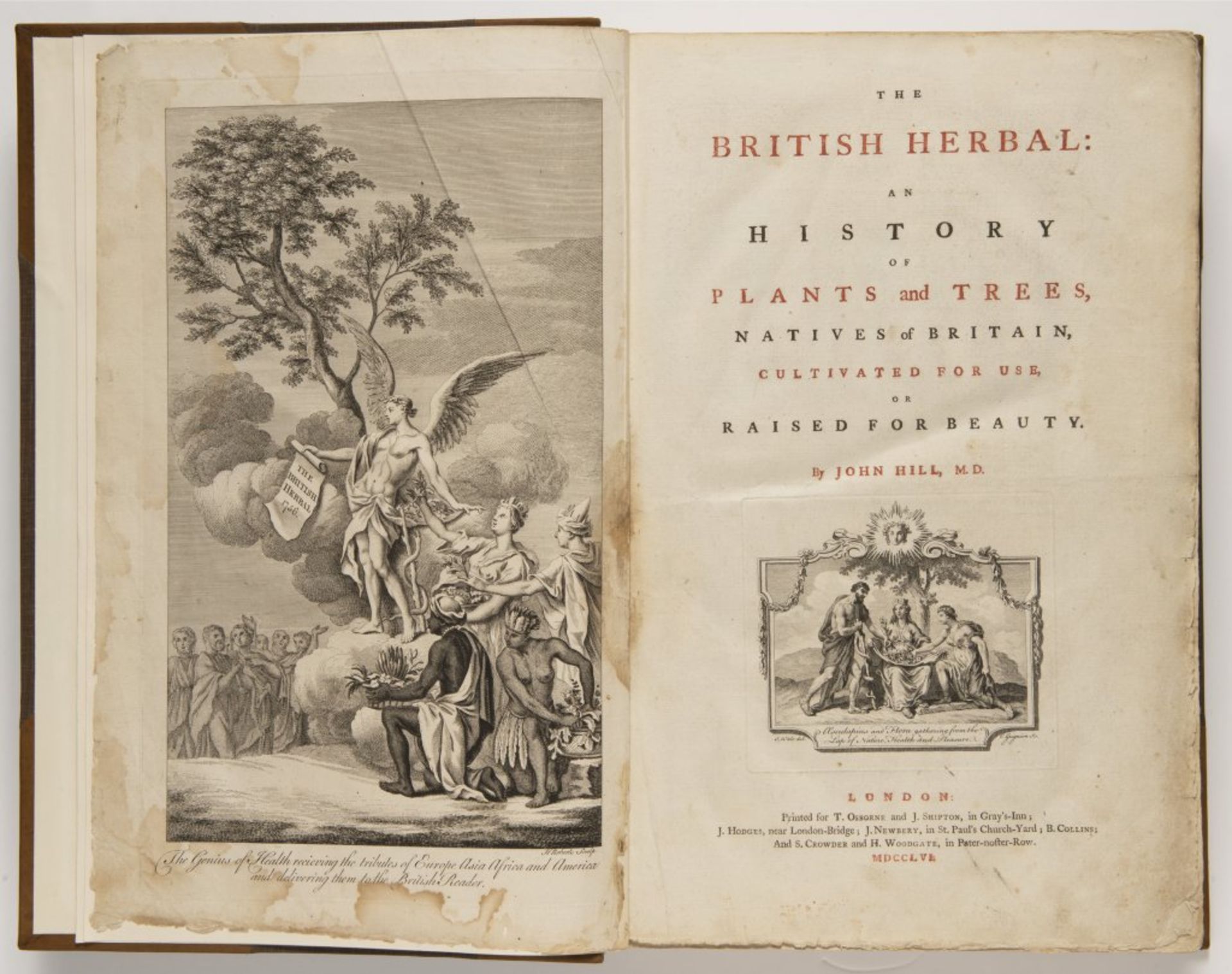 JOHN HILL 1714 - 1775: THE BRITISH HERBAL: AN HISTORY OF PLANTS AND TREES, NATIVES IN BRITAIN,