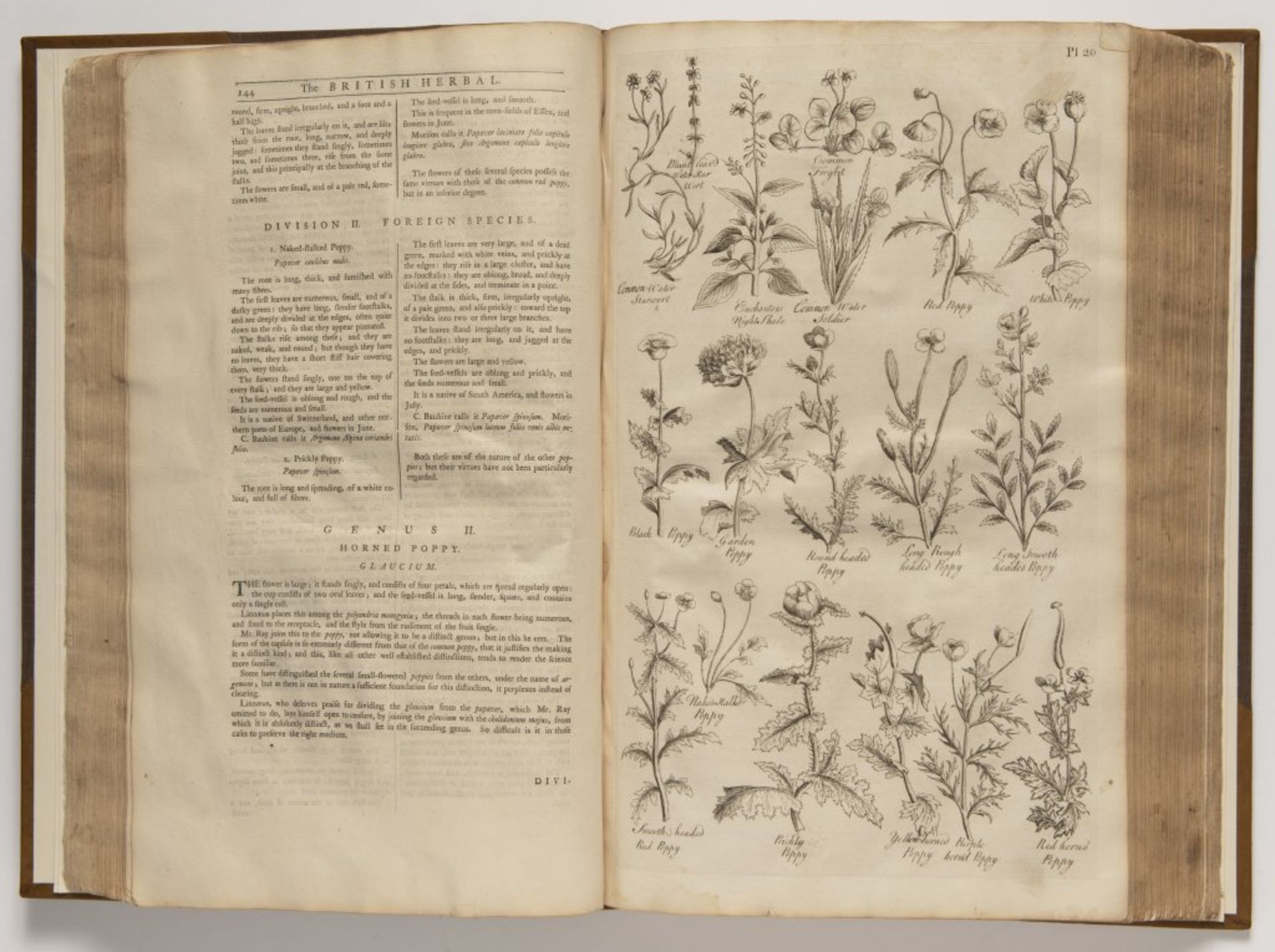 JOHN HILL 1714 - 1775: THE BRITISH HERBAL: AN HISTORY OF PLANTS AND TREES, NATIVES IN BRITAIN, - Bild 2 aus 2