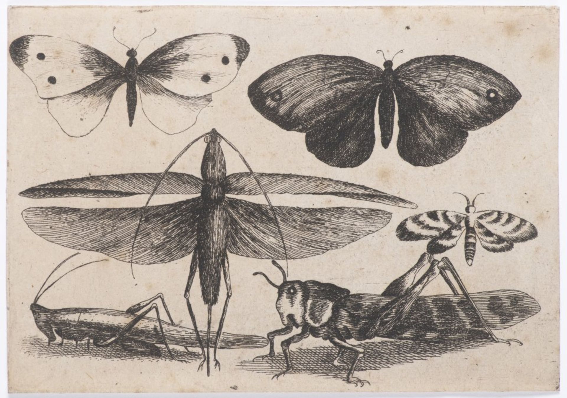 VÁCLAV HOLLAR 1607 - 1677: A GROUP OF FOUR PRINTS 1644, 1646 Etching 10 × 17 cm, 8 × 12 cm, 8 × 12 - Bild 2 aus 4