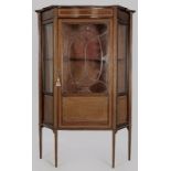 AN EDWARDIAN MAHOGANY DISPLAY CABINET, the serpentine top and frieze above glazed panelled sides and