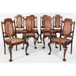 A SET OF EIGHT CAPE-STYLE DINING CHAIRS, possible stinkwood, the camel-back top-rails above semi-