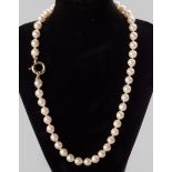 A CULTURED PEARL NECKLACE, composed of 57 pearls of approximately 7mm each, on a circular 9ct yellow