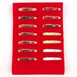 Case XX "Doctor's Knives", Group of 14