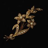 English Victorian Gold and Pearl Flower Brooch