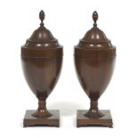 Pair of Georgian Style Cutlery Urns
