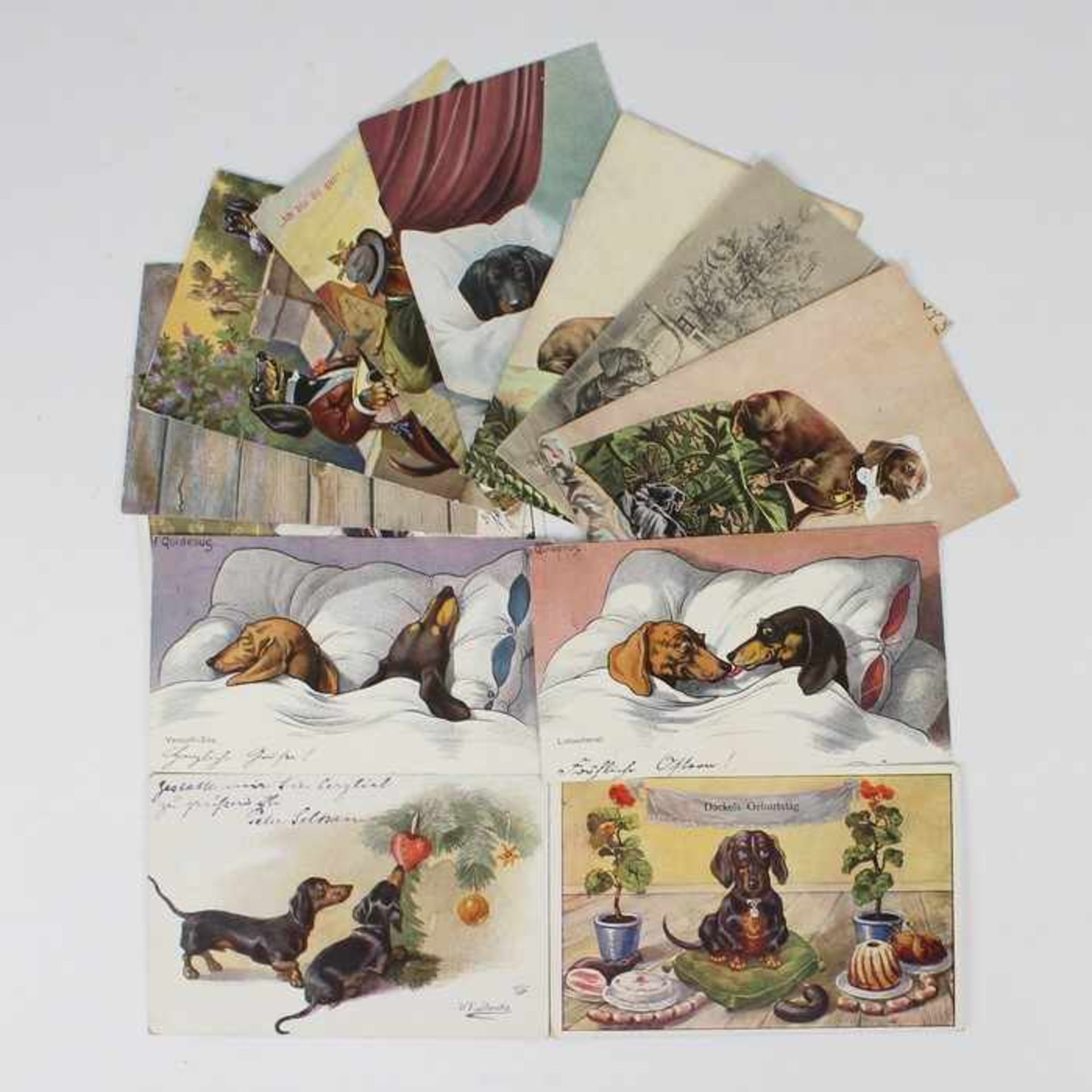 Postkartenum 1940, 12 St., farbig lithografiert, Dackeldarstellungen, 2 PK v. F. Quidenus,