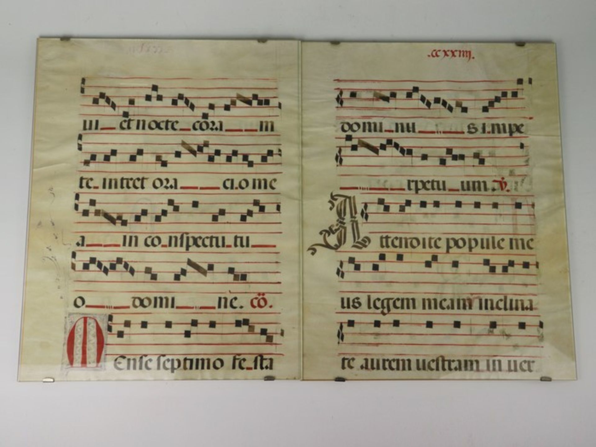 Notenblätter- Zwei Stückwohl 16./17. Jh., handgeschriebene Notenblätter wohl aus einem Missale,