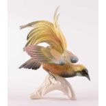 große Vogelfigur Paradiesvogel, Karl Ens Vokstedtauf Baumstamm sitzend, farbig staffiert, unterm