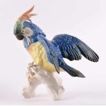 große Vogelfigur Kakadu, Karl Ens Vokstedtauf Baumstamm sitzend, farbig staffiert, unterm Stand