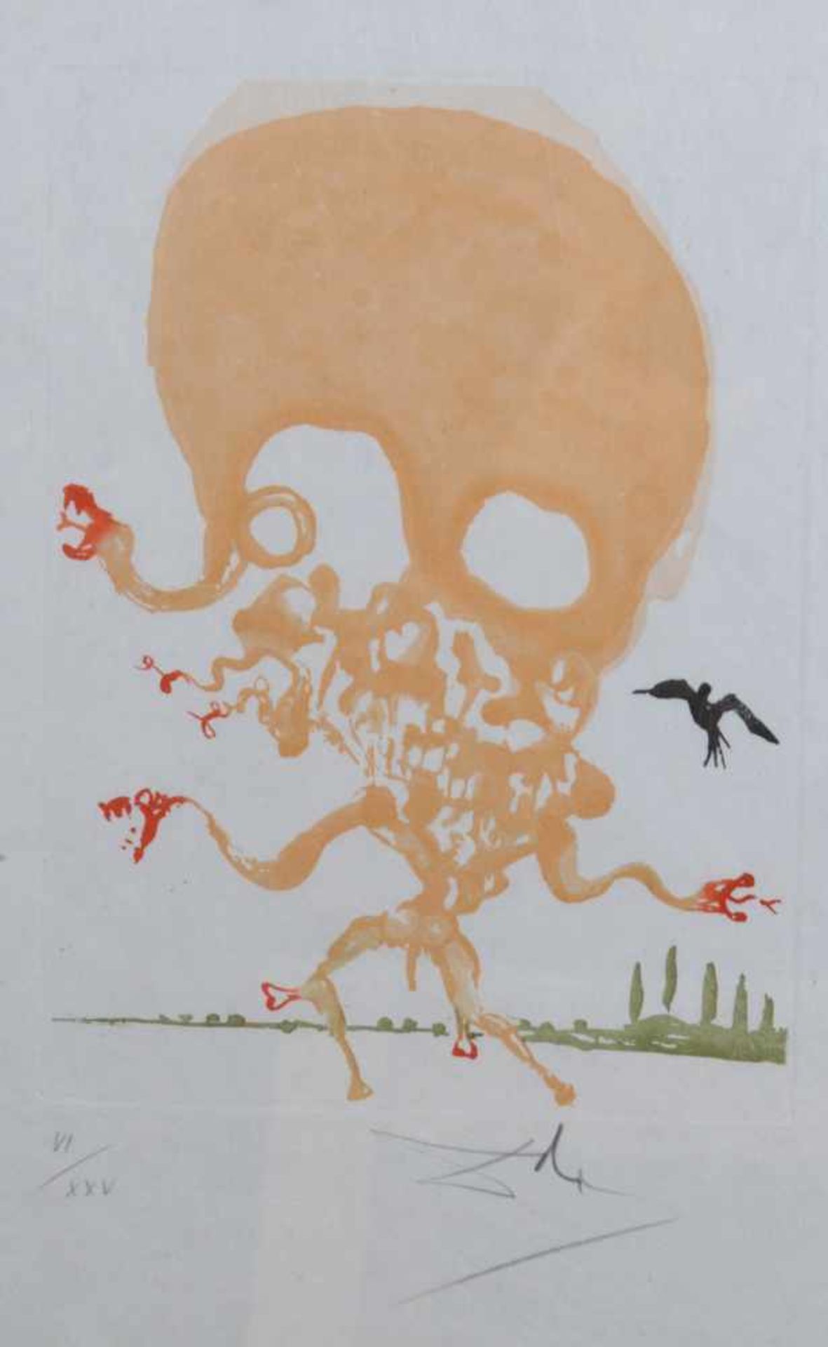 Salvador DALI (1904-1989)"Medusa"Grafik- farbiger Tiefdruck auf Japan, 45 cm x 31,5 cm,