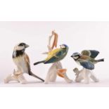 3 Vogelfiguren Karl Ens VolkstedtBlaumeise (H: 15 cm), Blaumeise (H: 9 cm) und Eichelhäher (H: 11