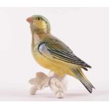 Kanarienvogel, Karl Ens Volkstedtauf Baumstamm sitzend, farbig staffiert, unterm Stand gemarkt, H: