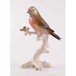 Vogelfigur Hänfling, Karl Ens Vokstedtauf Baumstamm sitzend, farbig staffiert, unterm Stand