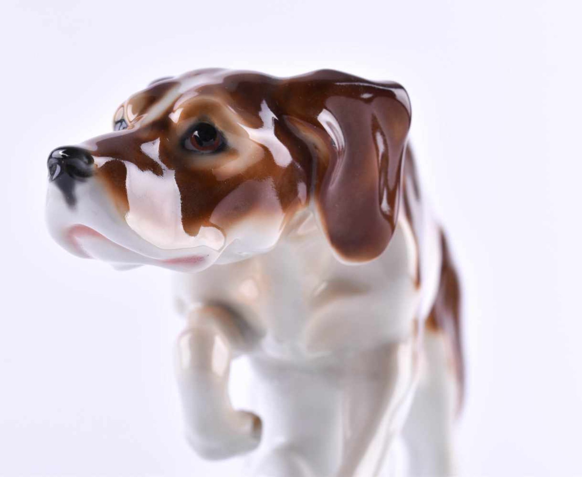 Jagdhund Goebelfarbig staffiert, gemarkt, 35 cm x 9,5 cm x 15,5 cmHunting dog Goebelcolorfully - Image 4 of 5