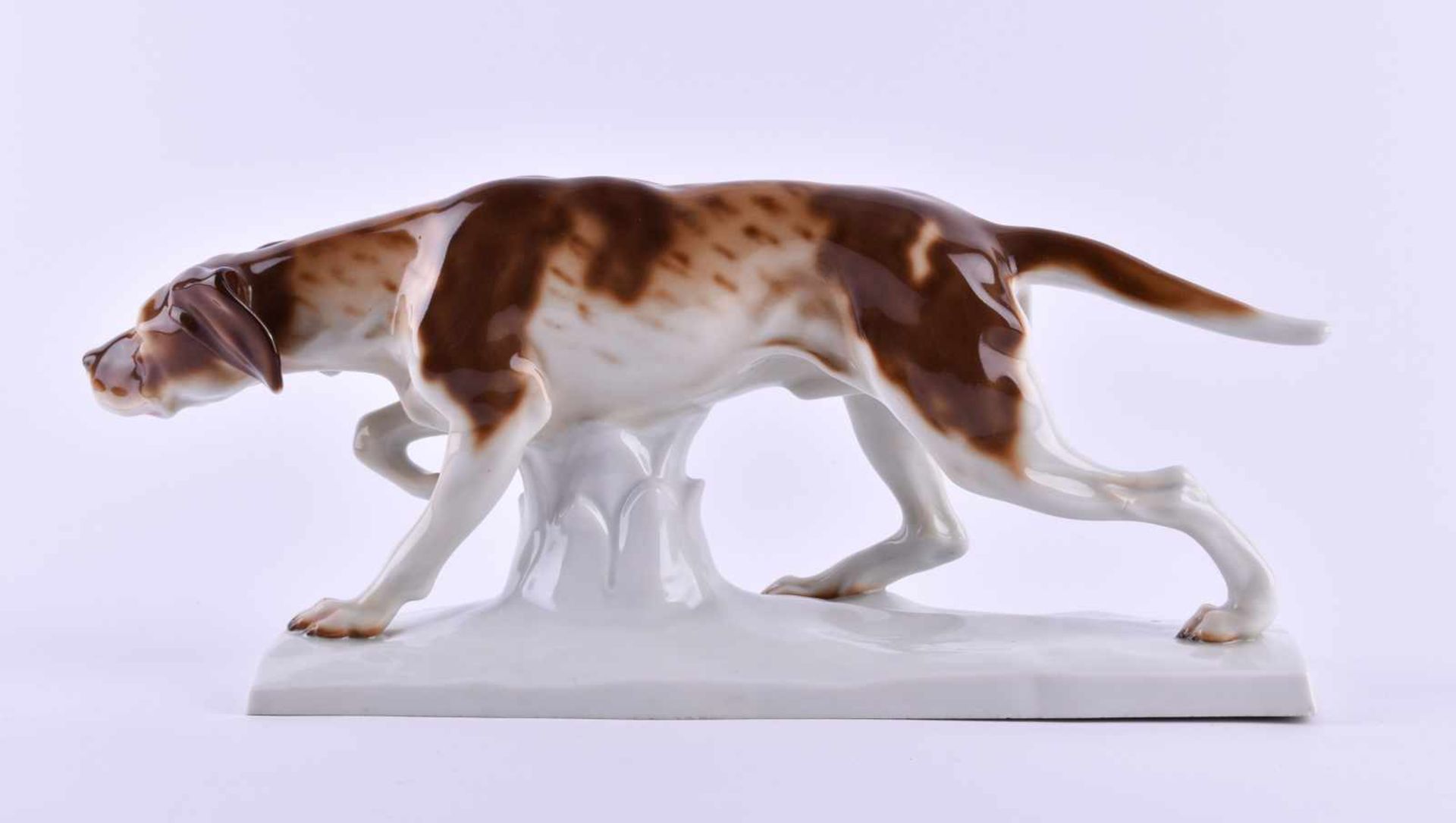 Jagdhund Goebelfarbig staffiert, gemarkt, 35 cm x 9,5 cm x 15,5 cmHunting dog Goebelcolorfully - Bild 3 aus 5
