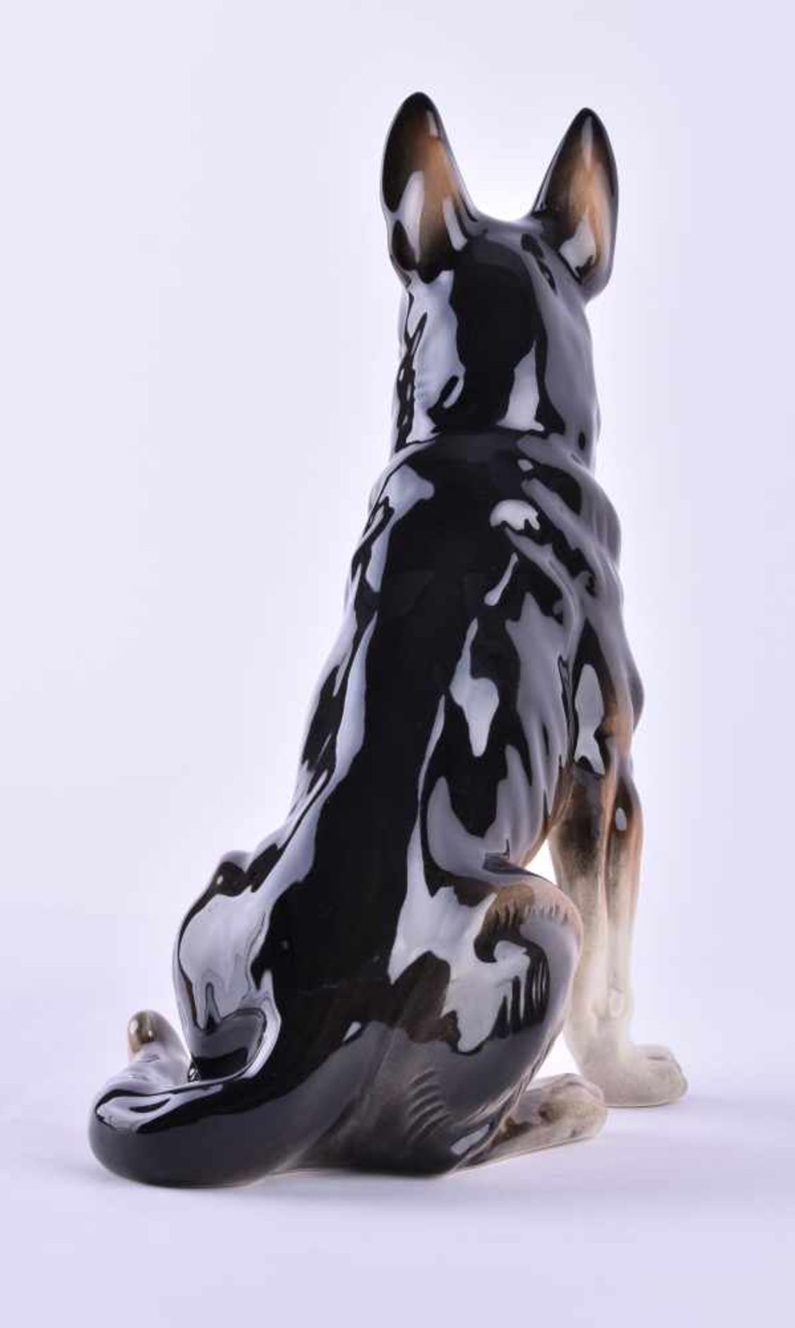 Schäferhund Goebelfarbig staffiert gemarkt, H: 27,5 cmGerman shepherd Goebelcolored painted - Bild 3 aus 4
