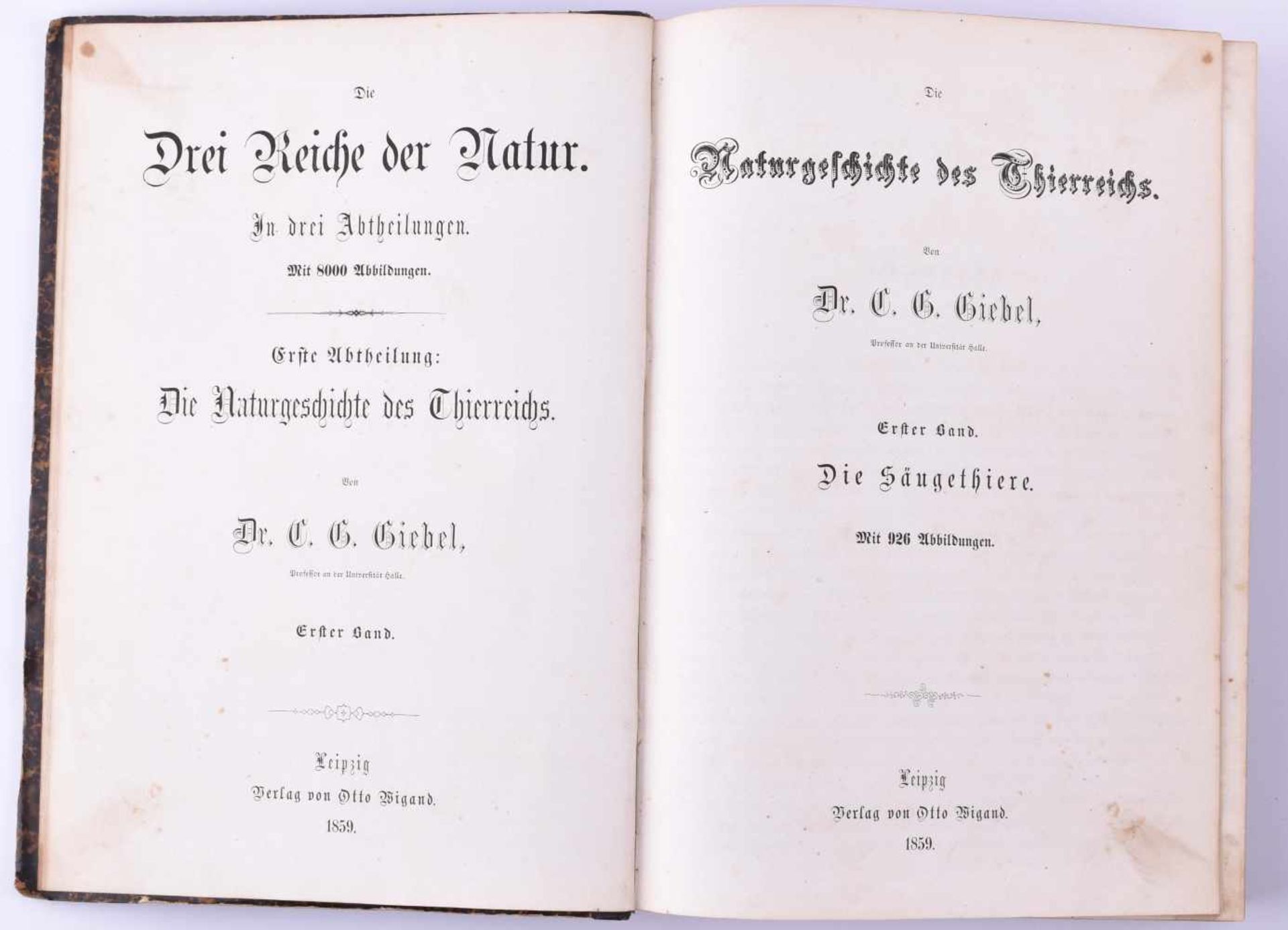 Naturgeschichte des Tierreichs, Christoph, Gottfried Giebel5 Bände, Verlag von Otto Wigand, - Bild 4 aus 6