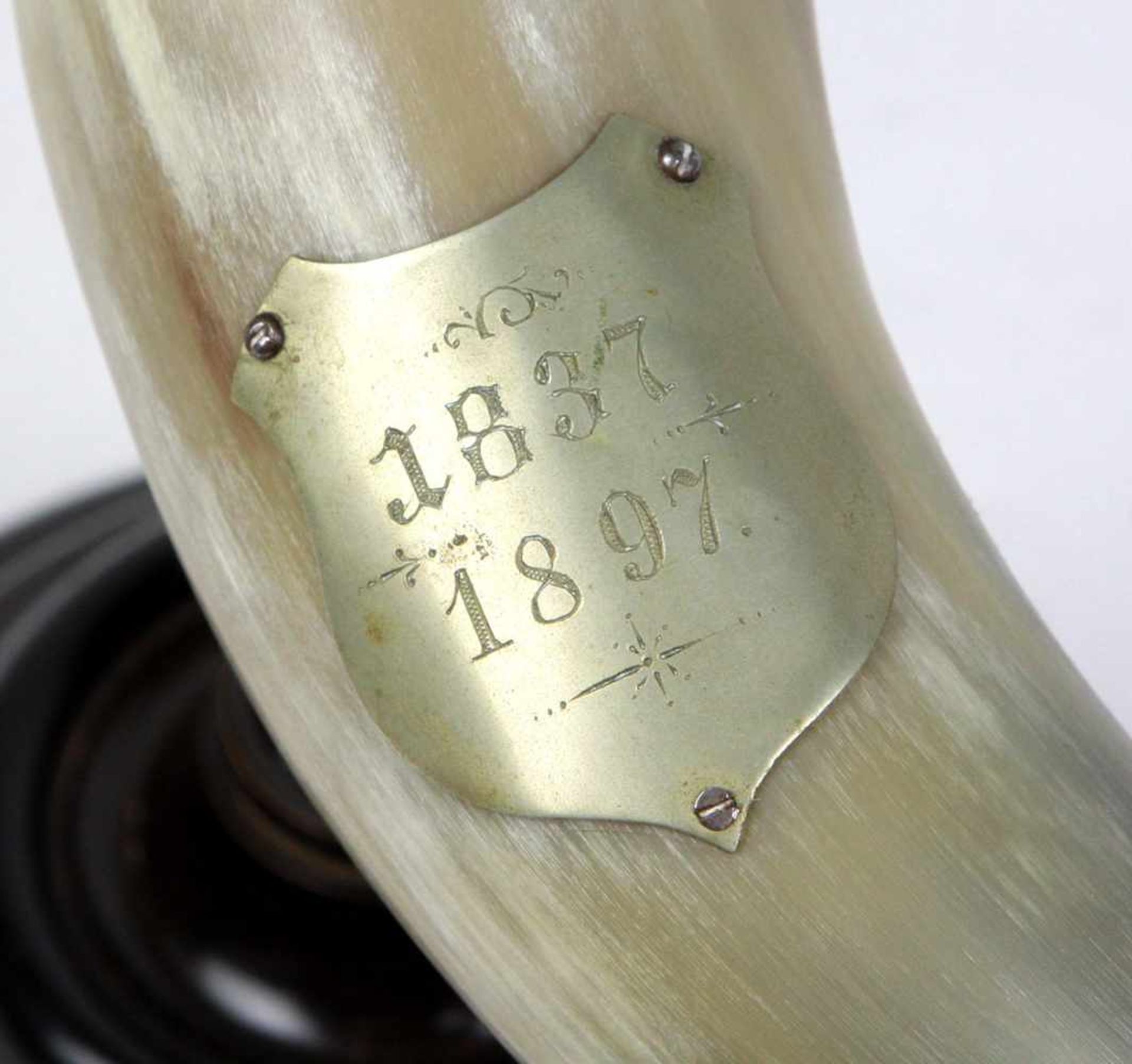 Trinkhorn 1897hellblond bis grau natürlich gebogenes Honr mit Metallrand u. -halterung sowie - Bild 2 aus 2