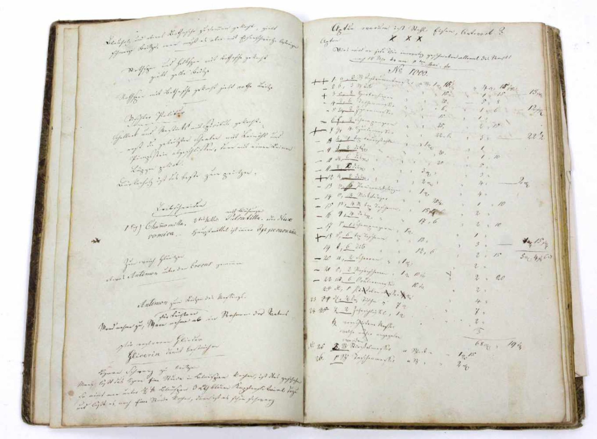 Zeichenbuch Gerbstedt 1834großfomatig reich handschriftl. mit Tinte sowie Bleizeichnungen gefüllt, - Bild 2 aus 2