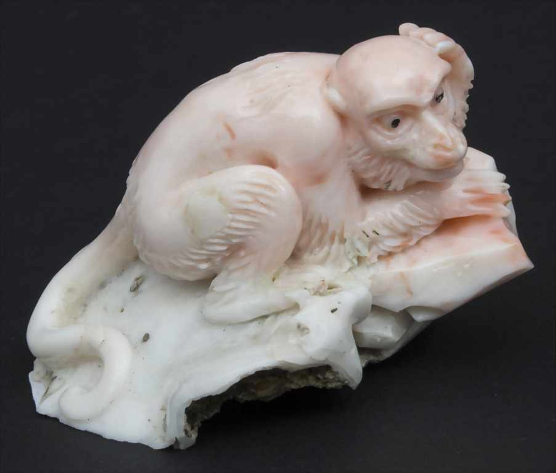 Korallenschnitzerei 'Affe' / A coral carving 'Monkey', China, 18. Jh.Material: Koralle (weiß und