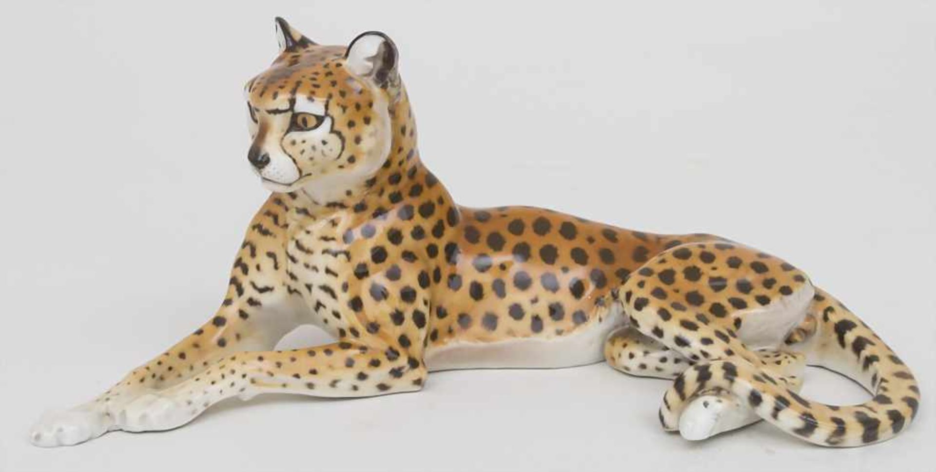 Liegender Gepard / A reclined cheetah, Theodor Kärner, Nymphenburg, um 1911Material: Porzellan,