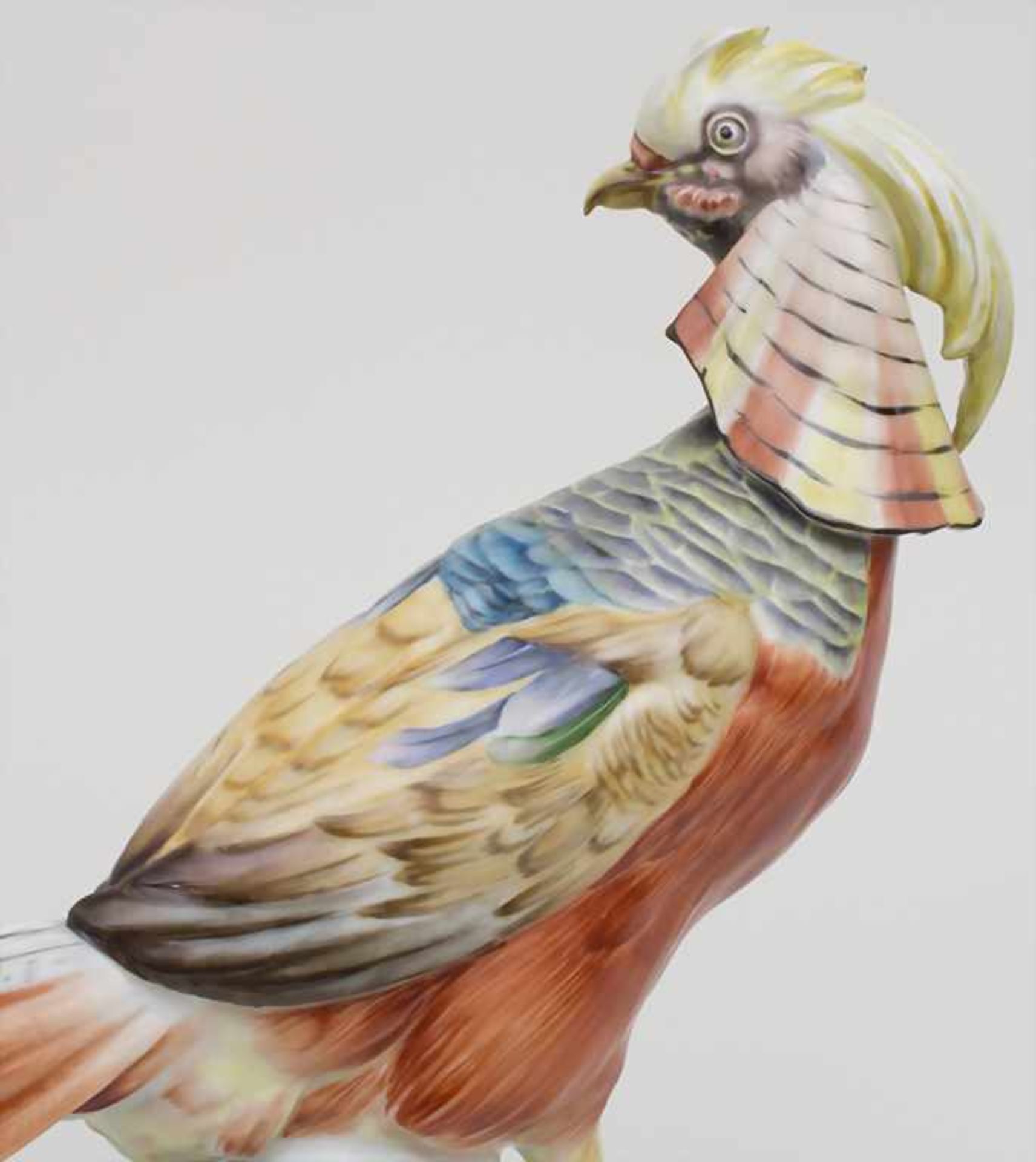 Tierfigur 'Fasan' / An animal figure 'pheasant', Karl Tutter für HutschenreutherMaterial: Porzellan, - Bild 5 aus 7