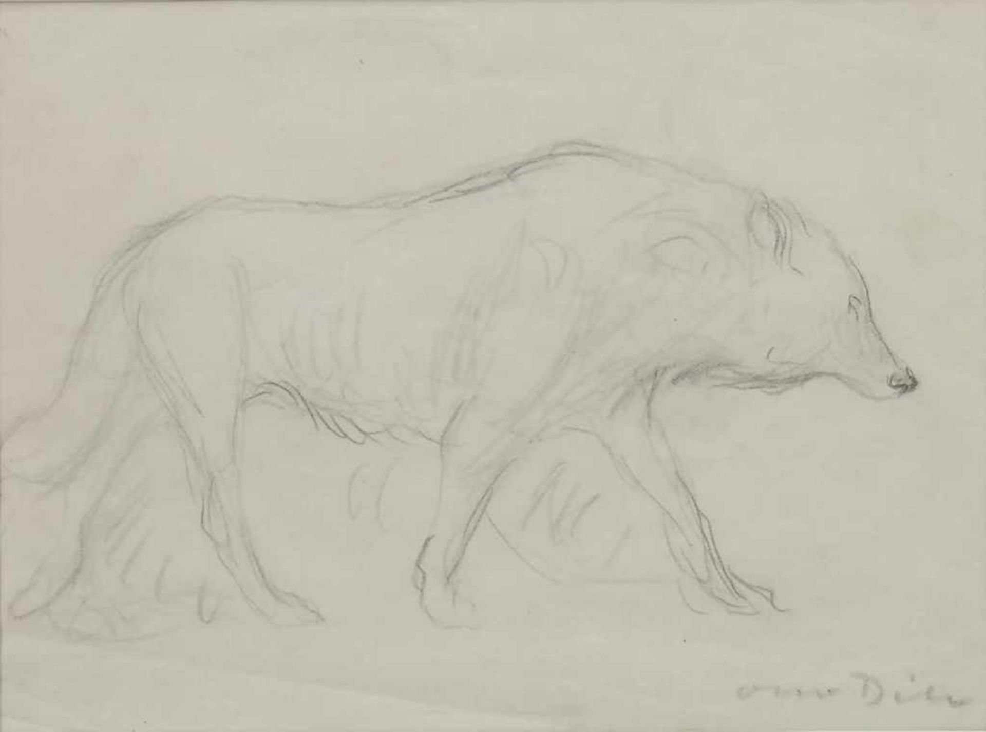 Otto Dill (1884-1957), 'Schreitender Wolf' / 'A pacing wolf'Technik: Bleistift auf Papier,