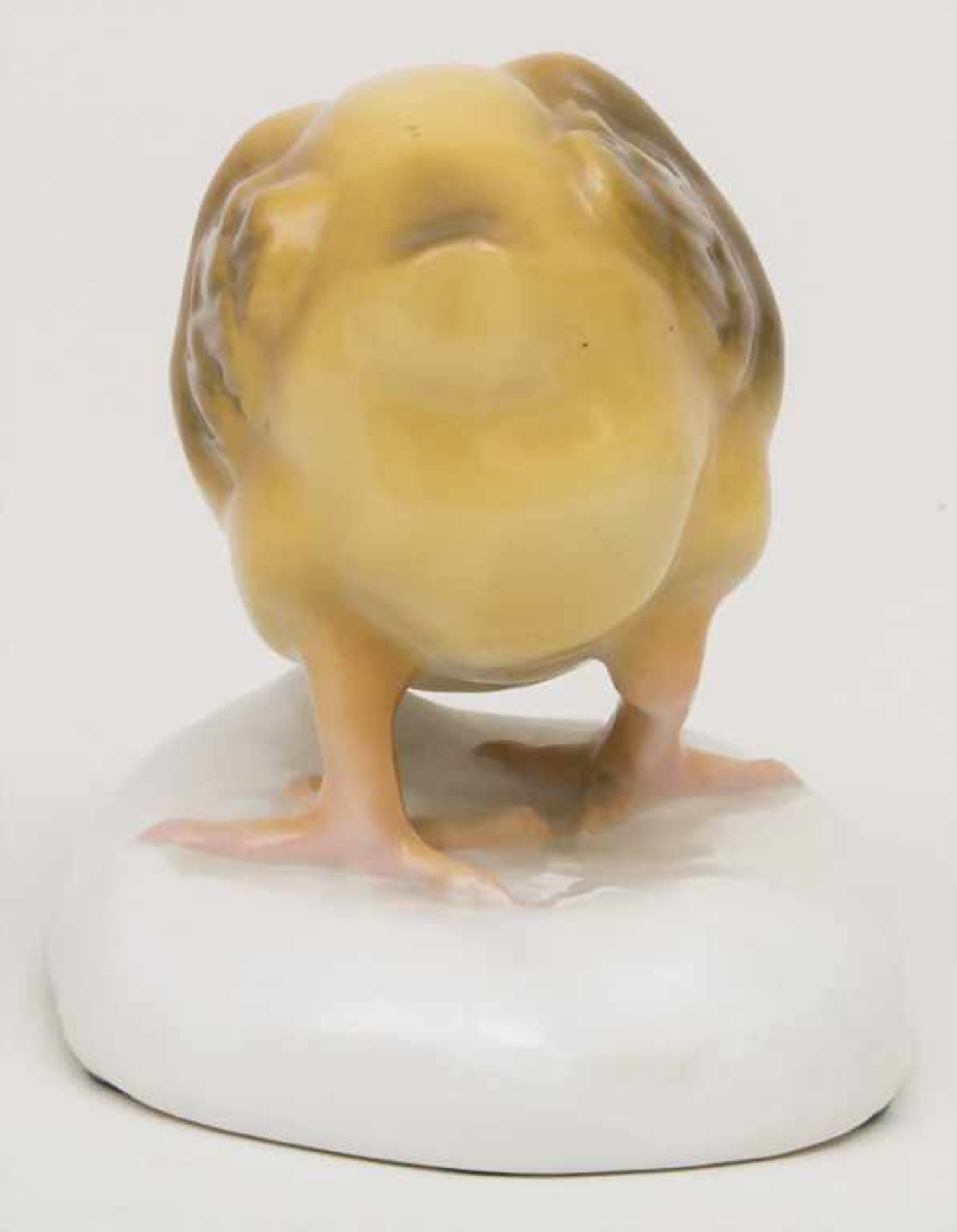 Pickendes Küken / A pecking chick, Nymphenburg, um 1920Material: Porzellan, polychrom bemalt, - Image 4 of 7