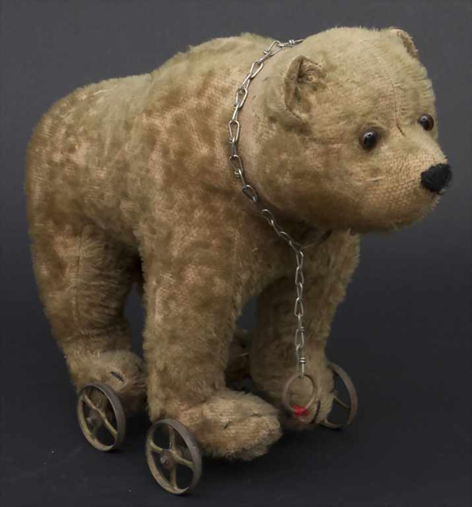 Spielzeug-Bär auf Rollen / A toy bear on wheels, um 1900Material: Mohairfell, Glasaugen, Körper