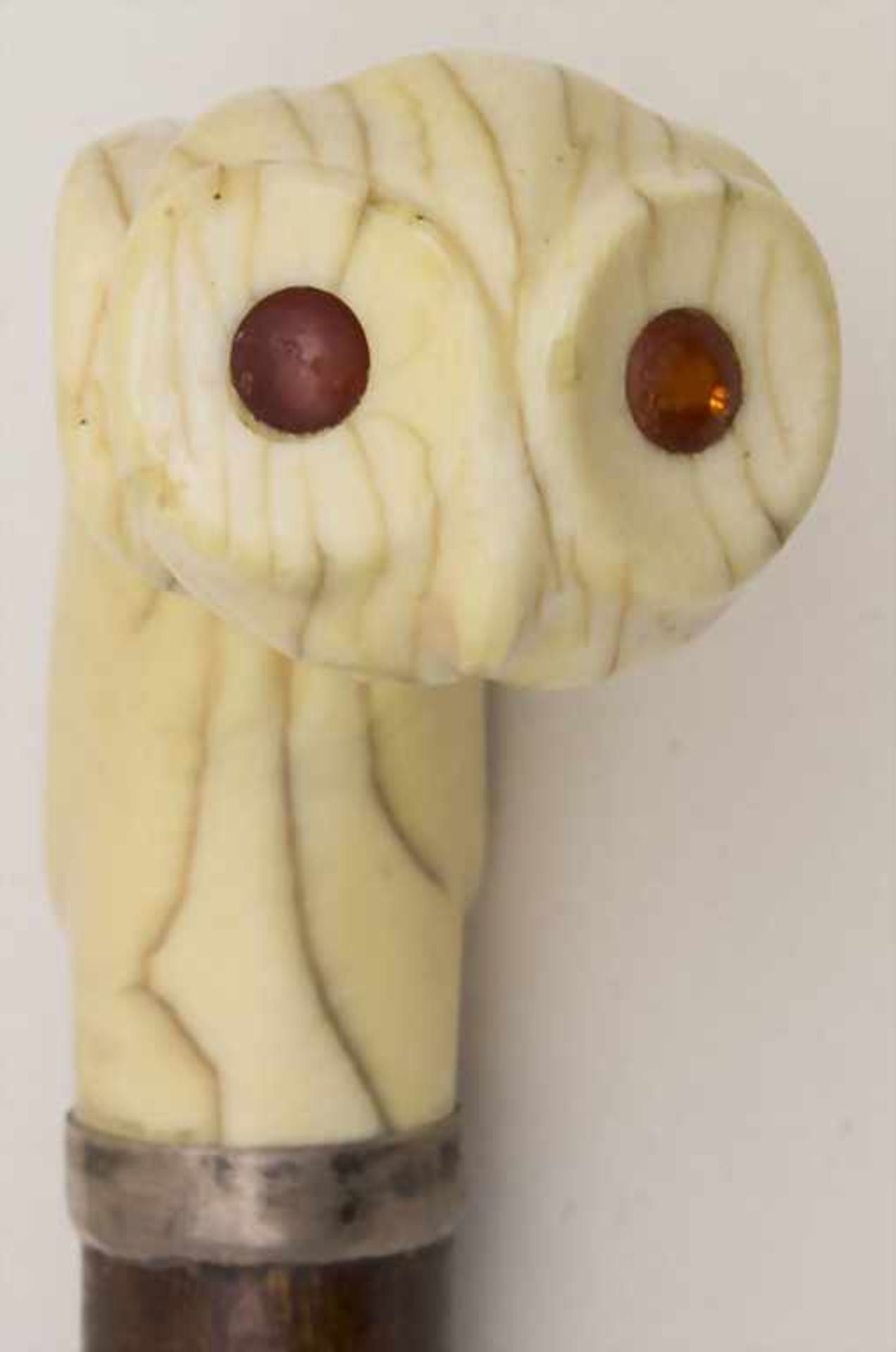 Gehstock mit Eule / A cane with owl, deutsch, um 1900Material: Rotangpalme mit Elfenbein / Spanish - Bild 4 aus 5